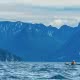 A kayaker sits and watches the Coast Mountains on one of our multi-day kayak tours british columbia