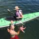 A man with a mask and snorkel finds a Giant Pink Star in Desolation Sound