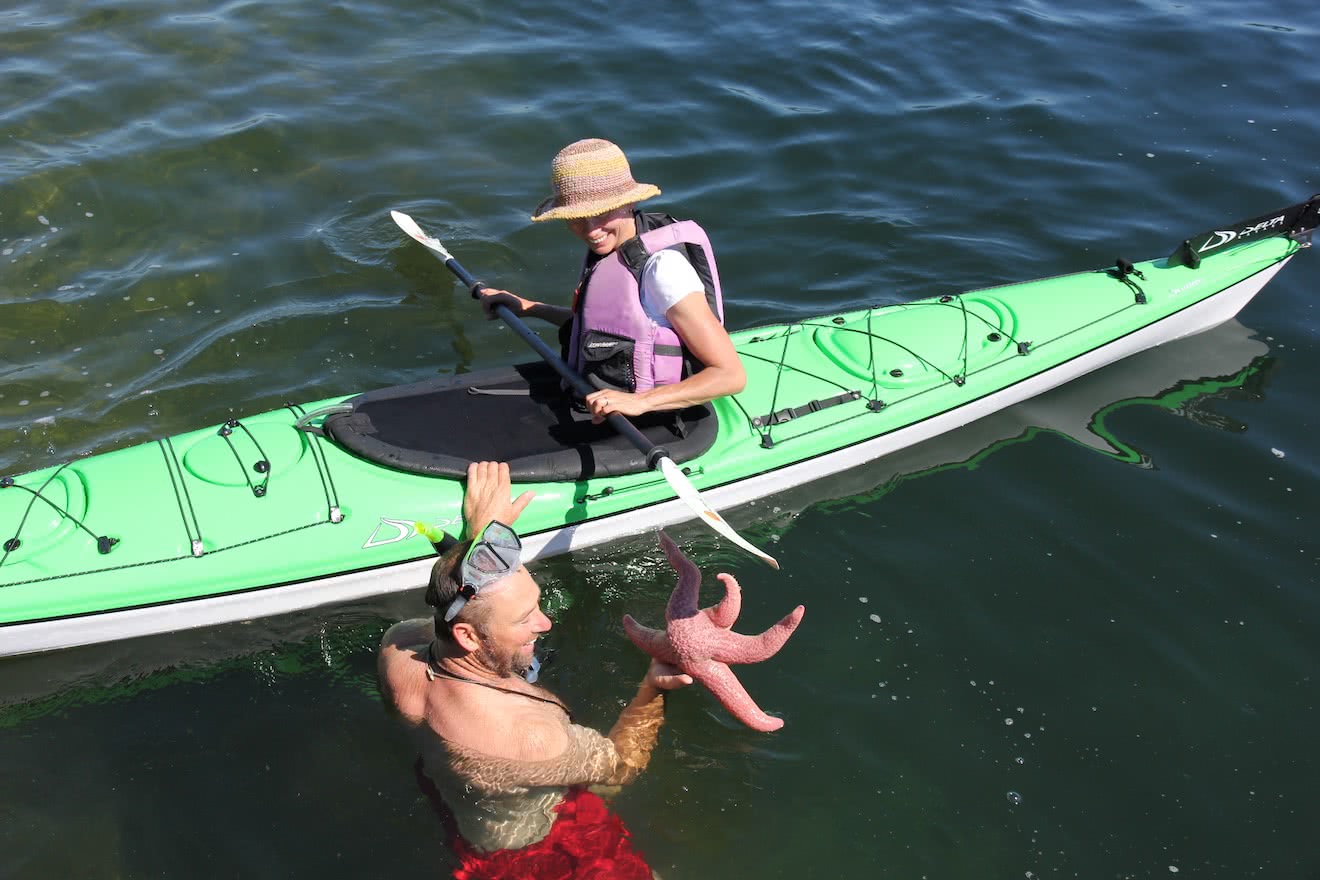 A man with a mask and snorkel finds a Giant Pink Star in Desolation Sound