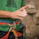 A climber dusts his hands of chalk
