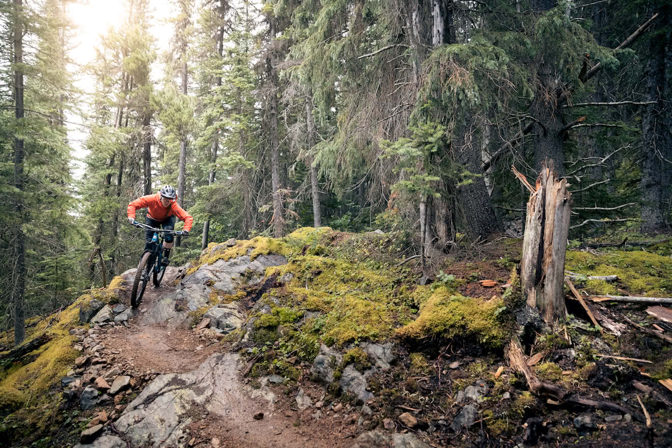 A mountain biker riding down a trail