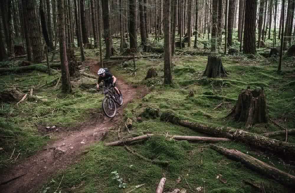 A mountain biker riding through mossy trails