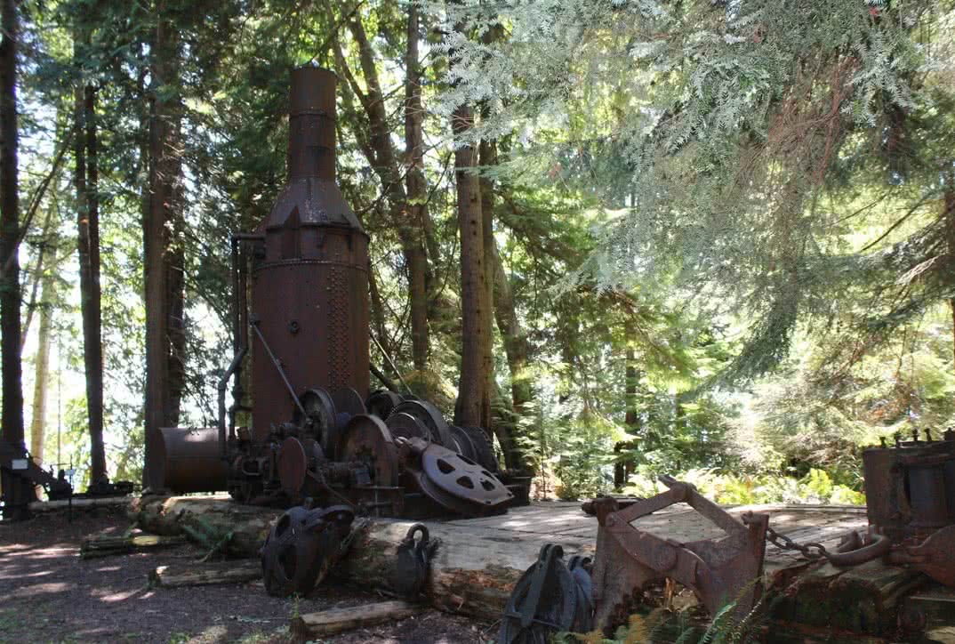 The Willingdon Beach Trail is one of the most easily accessible of the Powell River hiking trails