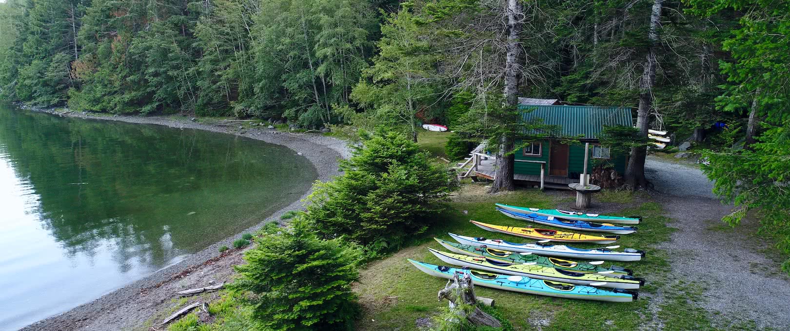 kayaks lined up near water