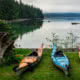 kayaks lined up by the water