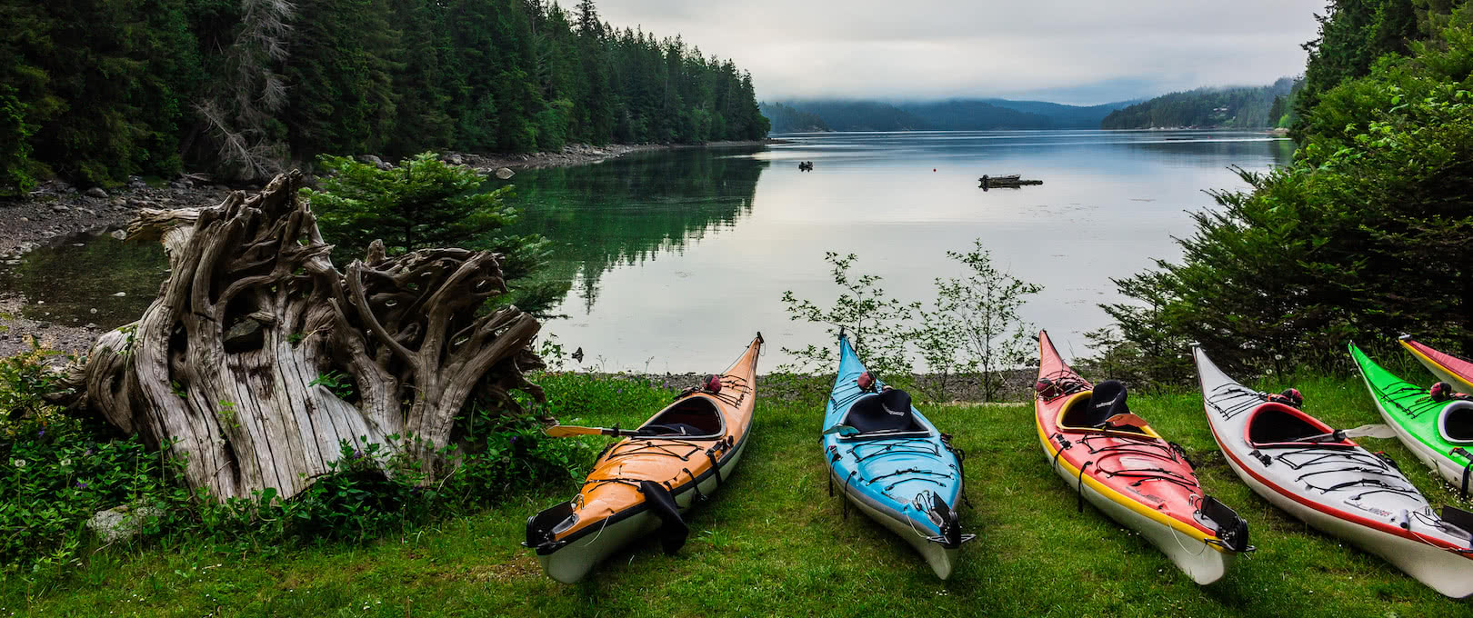 kayaks lined up by the water