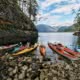 kayaks lined up in bay