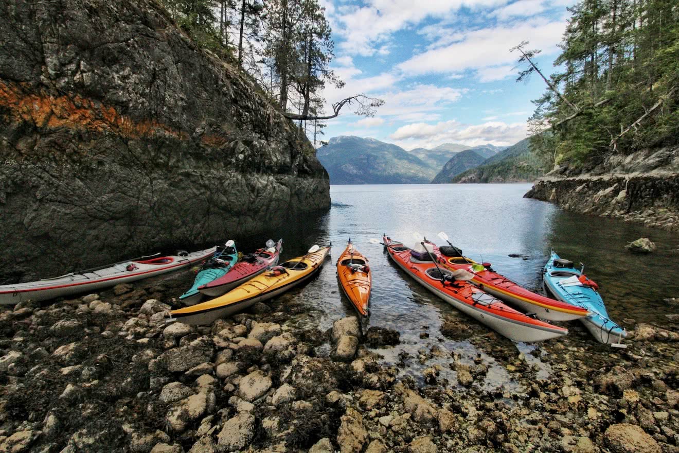 kayaks lined up in bay