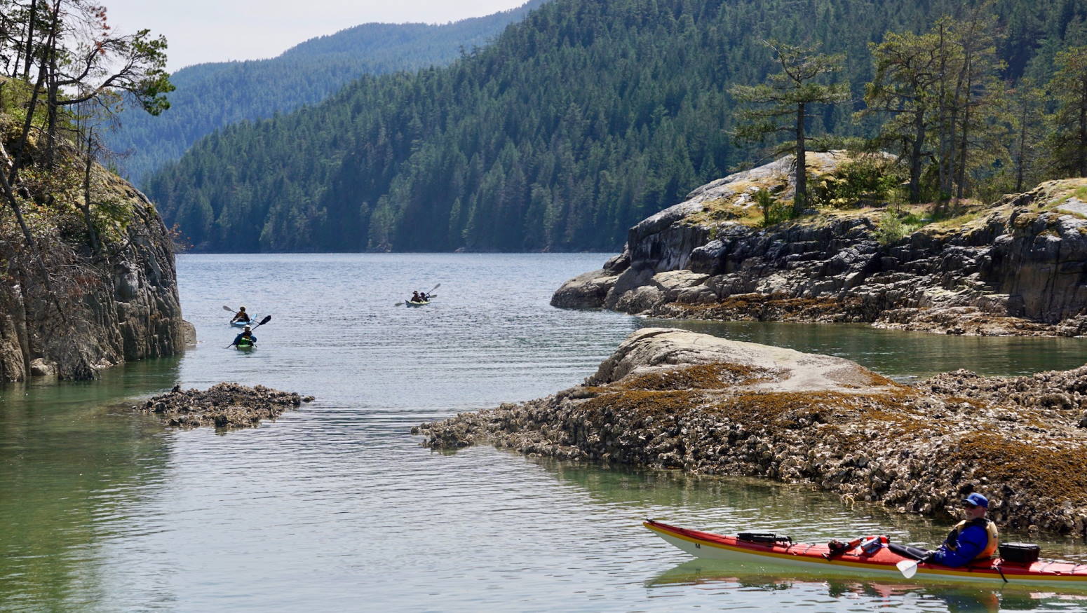 kayakers exploring inlet