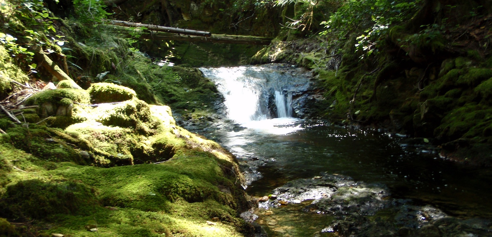 A small waterfall on a creek at Tenedos Bay in Desolation Sound