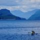 Two kayakers in a double kayak sit still in the middle of Desolation Sound, with Lewis Channel behind them