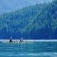 Two paddlers in a double kayak paddling in the deep blue waters of Toba Inlet
