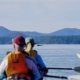 Two kayakers watch a humpback whale in the distance from their kayaks in Desolation Sound
