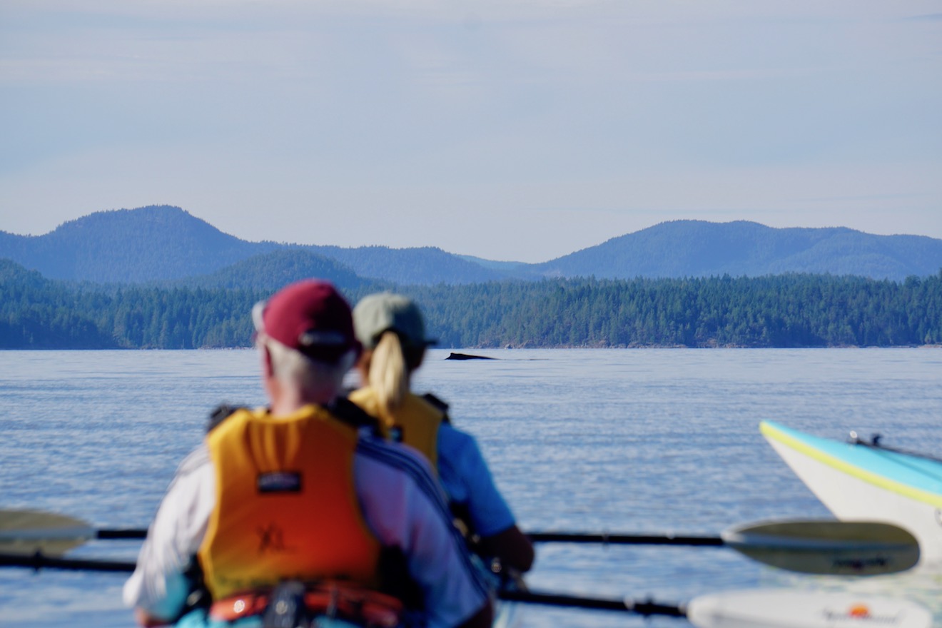 A double kayak with whales in Desolation Sound - A humpback comes up for air in the distance