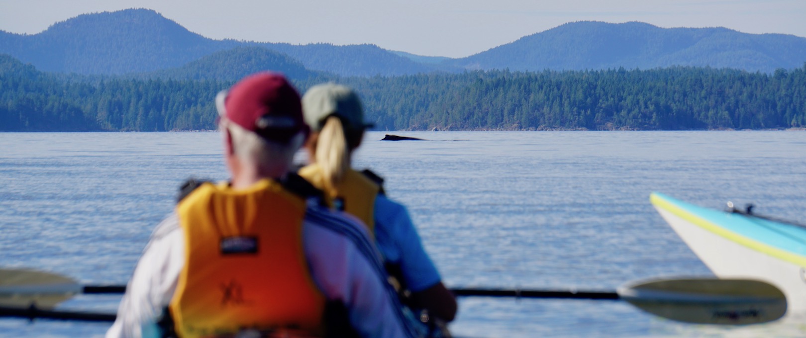 Two kayakers sitting and watching a humpback whale in the distance in Desolation Sound