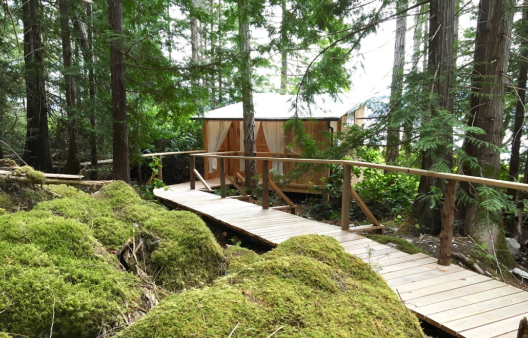 cabana in woods with boardwalk