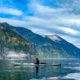 Kayaker in Toba Inlet