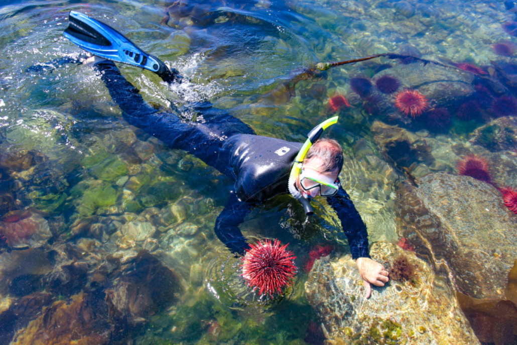 snorkeling near the rocks