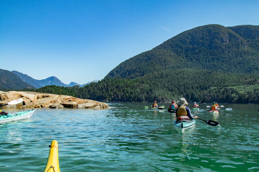 group of kayakers paddling