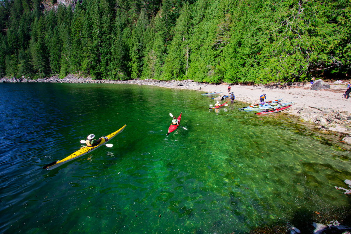 group of kayakers heading towards shore